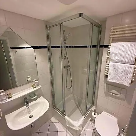 Hotel Francais